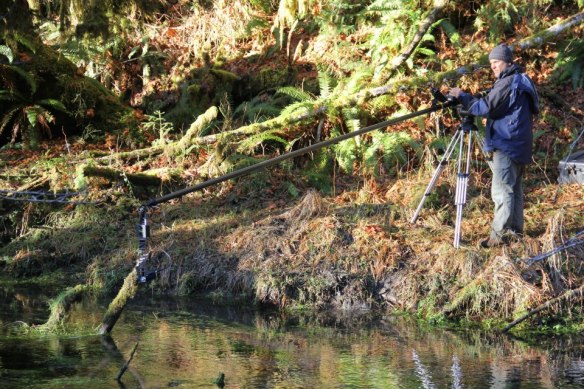 65316_10151383902571649_1614978021_n